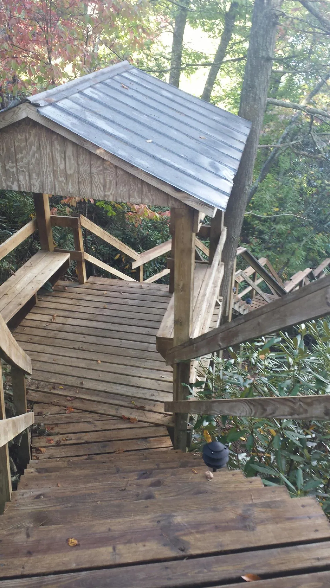 Metal roofed shelter over wooden steps on a wooded walkway — Skylight Repair & Installation work by our crew in Scotland Neck